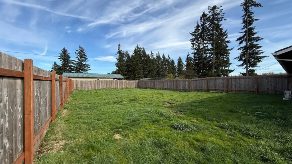 c592ec19 b096 4623 b5cd bea29b772459.jpg