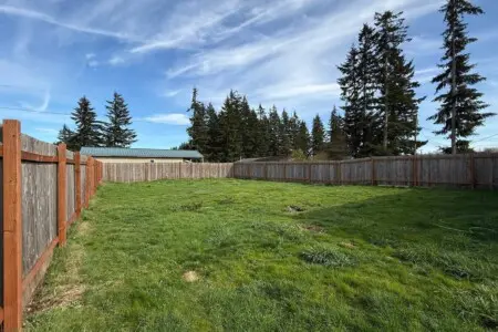 c592ec19 b096 4623 b5cd bea29b772459.jpg