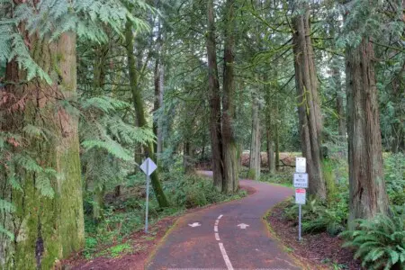 5104a60f 83a5 404e 8a57 c942fd96b6d6