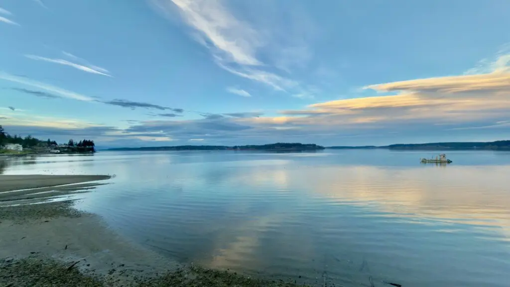 1331c41f 9037 4f40 b69e 81de9daeedfa