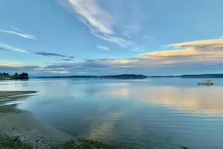 1331c41f 9037 4f40 b69e 81de9daeedfa