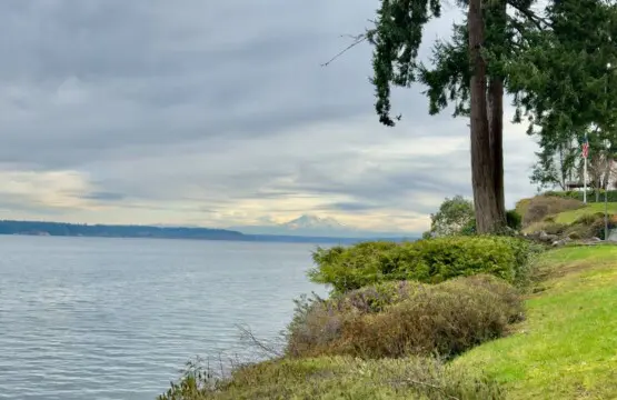 6bd311d6 e48b 4b14 b59d 09a03e19ce97