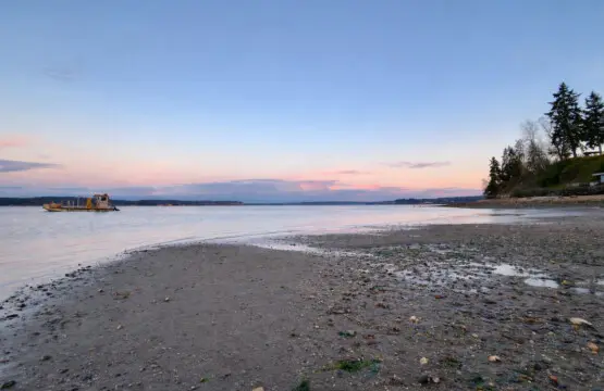 7c95cfde 5520 4929 93b2 482aa566eb2d