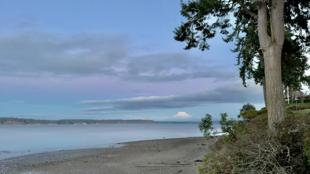 ae91559b ea09 4c47 afe1 10a563e72459