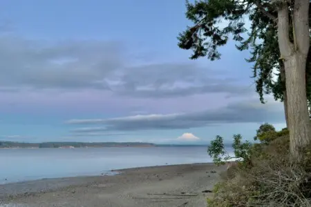 ae91559b ea09 4c47 afe1 10a563e72459